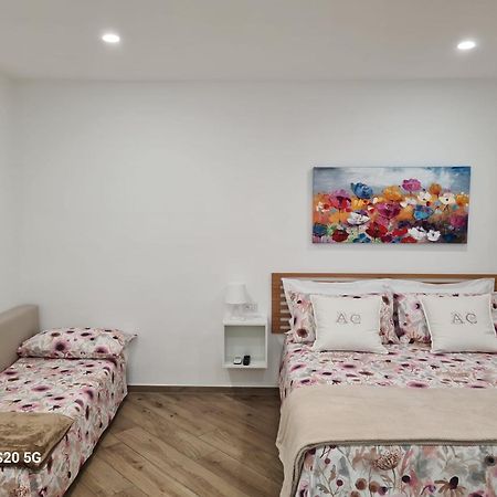 Apartment Canelli House סורנטו מראה חיצוני תמונה